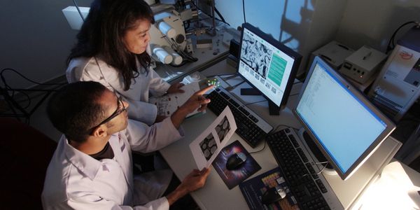medical lab tech vs radiology tech