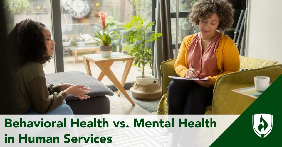A client and behavioral health specialist meet in a bright office
